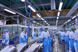 conveyor line workers